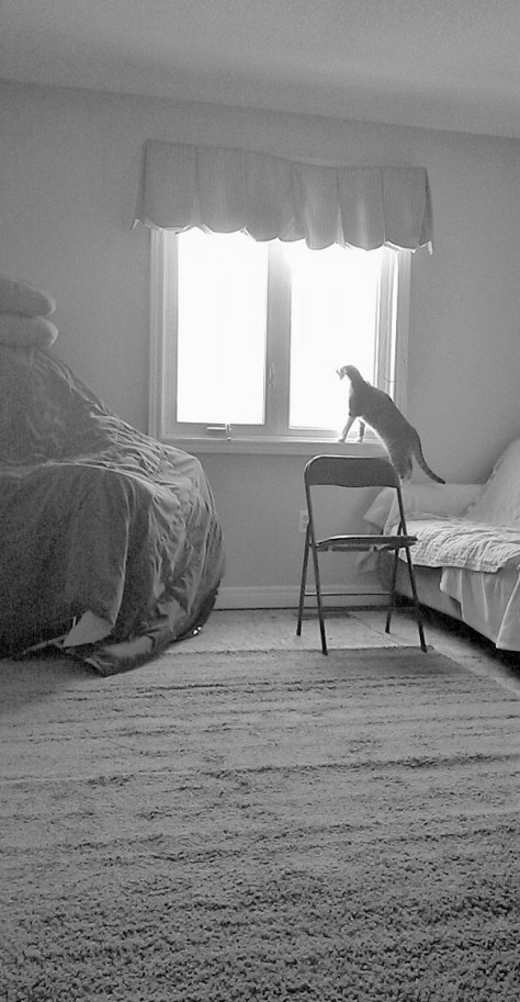 How Can You Leave Me Alone?