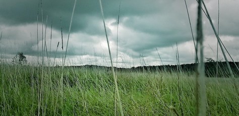 Created with Nokia Smart Cam