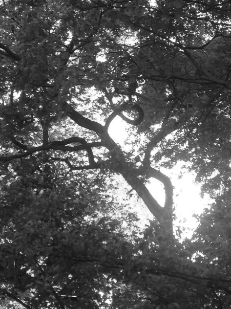 10411786_10152524129469924_5984311770203721656_n