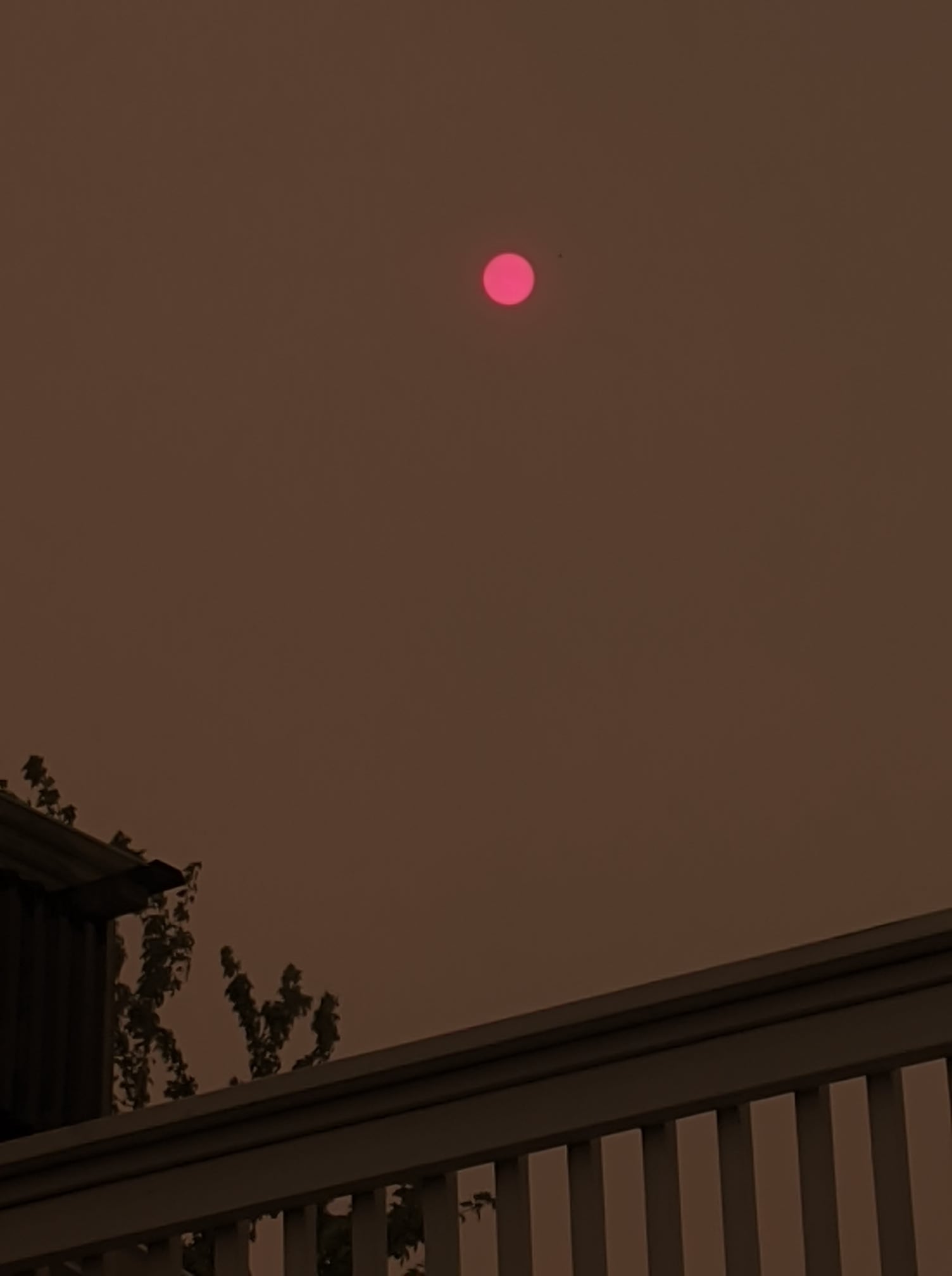 119010073_10200461798040100_8790630455787904729_n